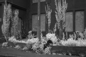 GilmorePark59ir