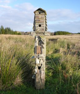 NestBoxMcAuly