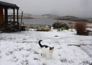 Ray_snow