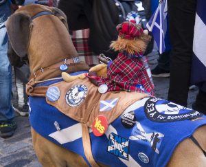 AUOB_12z