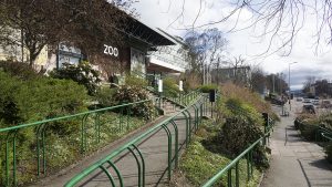Zoo2018_(01)