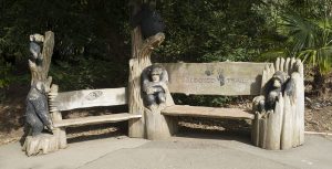 Zoo2018_(09)