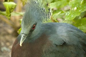 Zoo2018_(11)
