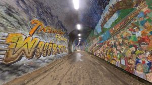 Colinton Tunnel 2020(02)