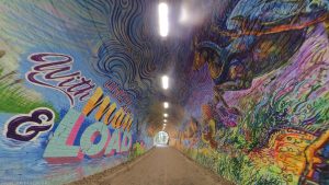 Colinton Tunnel 2020(08)