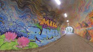 Colinton Tunnel 2020(09)
