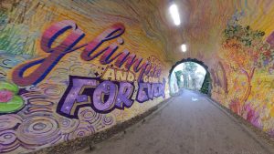 Colinton Tunnel 2020(10)