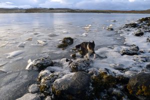 56 South Loch Roag