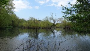 Lochend (01)
