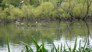 Lochend (05)