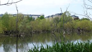 Lochend (07)