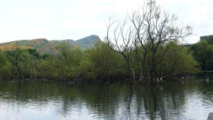 Lochend (08)