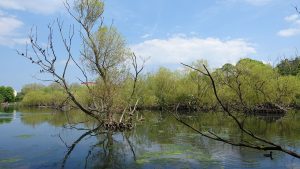 Lochend (12)