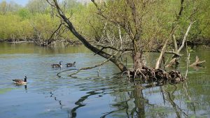 Lochend (14)