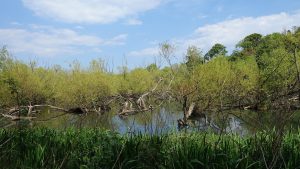Lochend (17)